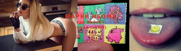 шишки Абаза