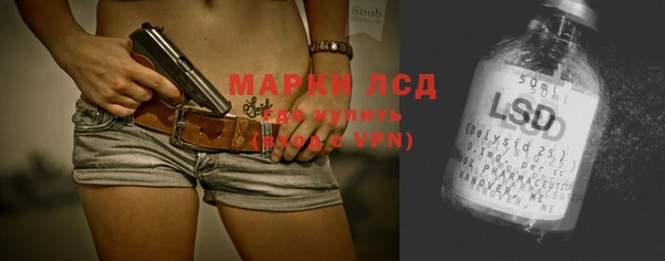 шишки Абаза
