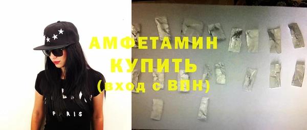 шишки Абаза