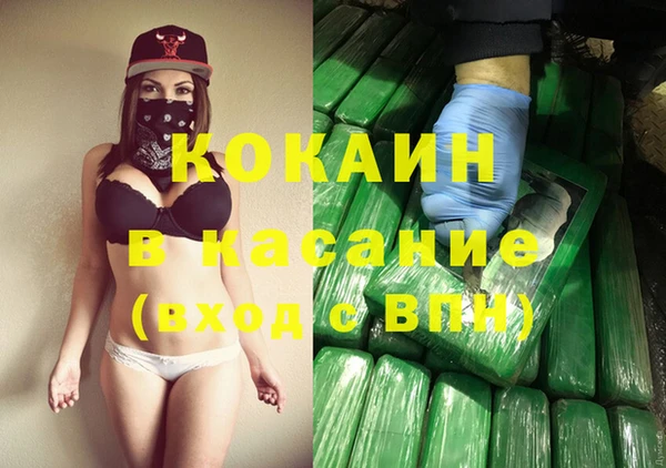 шишки Абаза