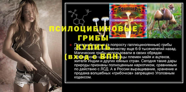 шишки Абаза