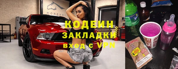 шишки Абаза