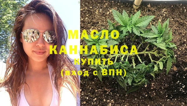 шишки Абаза