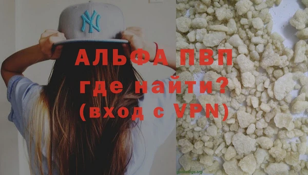 шишки Абаза