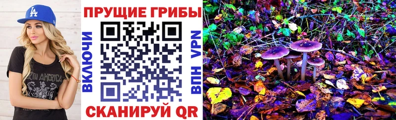 купить   Харабали  Псилоцибиновые грибы GOLDEN TEACHER 